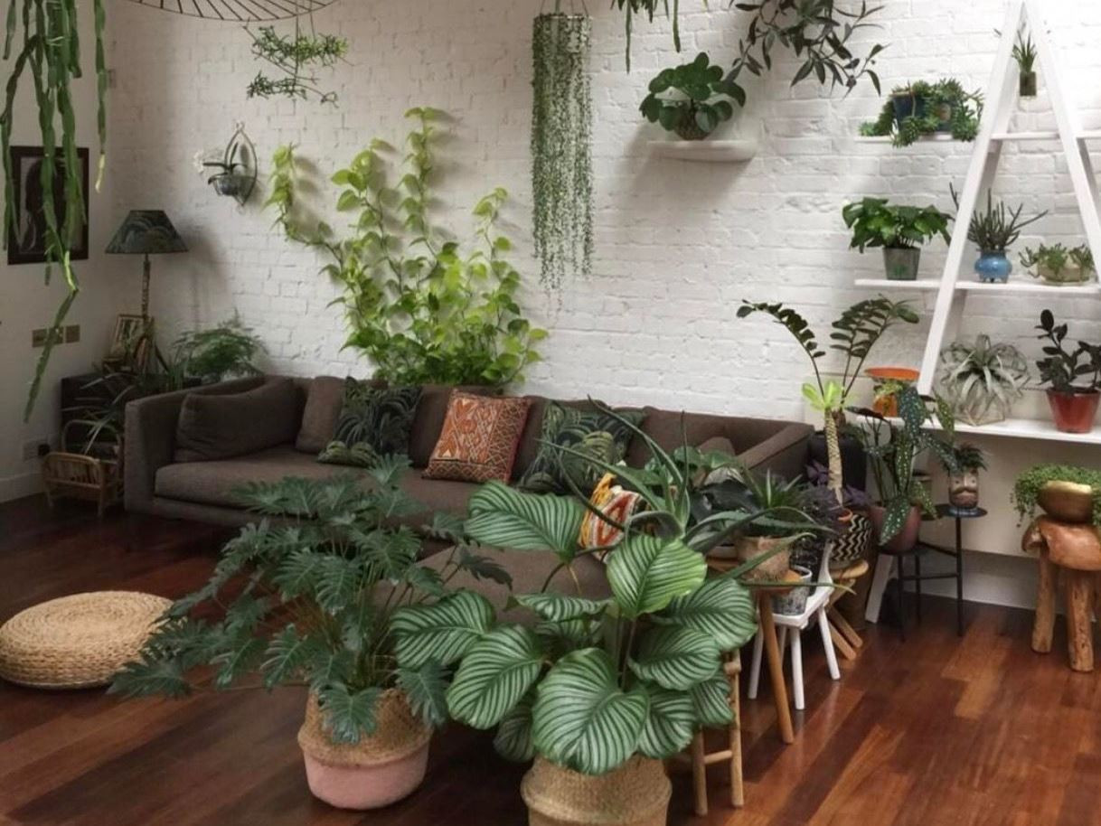 Decoração com plantas: dicas para se inspirar e fazer em casa